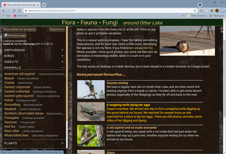 Keith's Otter lake nature photos